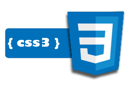 css3